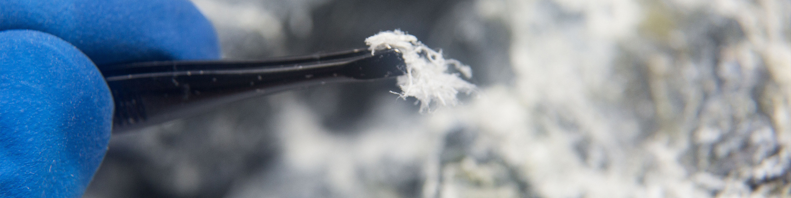 asbestos testing
